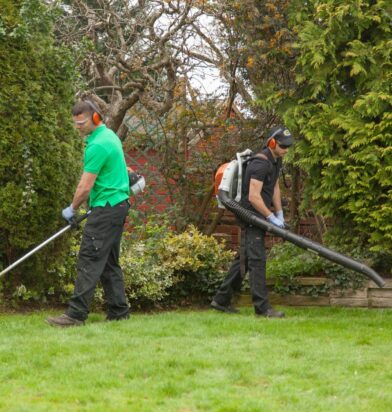 garden-pond-cleaning-services