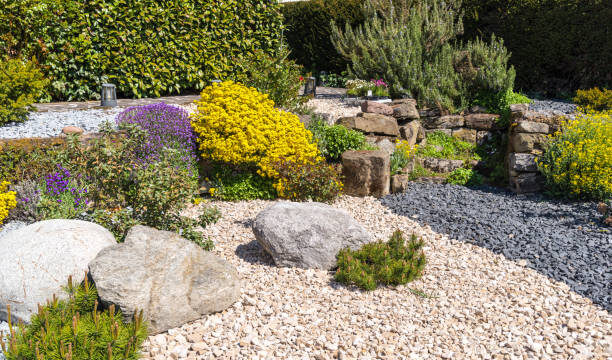 Aperture 9.5, exposure time 1/750 sec., ISO 200, UV filter, lens hood, focal length 34 mm,  jura rock, basalt gravel, jura gravel, granite gravel, aubretia,